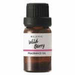 L10015 Burangu fragrance oil Wild Berry