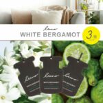 H1464 Runo Hanging paper white bergamot